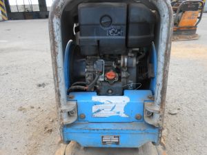 C:\fakepath\DSCN5994