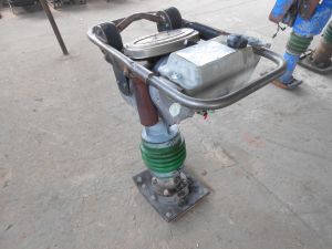 C:\fakepath\DSCN6194