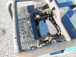 C:\fakepath\DSCN6463