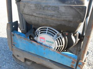 C:\fakepath\DSCN6464