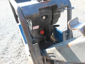 C:\fakepath\DSCN6465