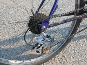 C:\fakepath\DSCN6933