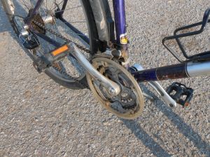 C:\fakepath\DSCN6934