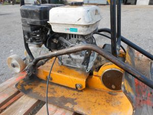 C:\fakepath\DSCN7040