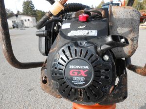 C:\fakepath\DSCN7545