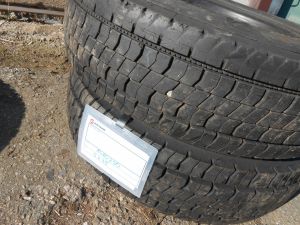 C:\fakepath\DSCN7328