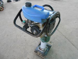 C:\fakepath\DSCN7775