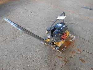 C:\fakepath\DSCN7260