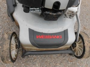 C:\fakepath\DSCN8206