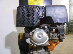 C:\fakepath\DSCN3428