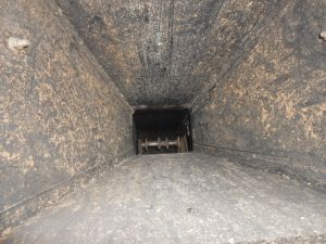 C:\fakepath\DSCN3430