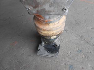 C:\fakepath\DSCN3934