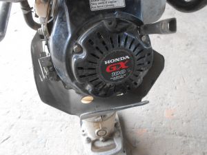 C:\fakepath\DSCN3936