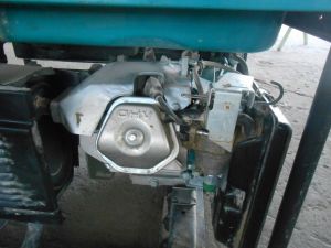 C:\fakepath\DSCN4133