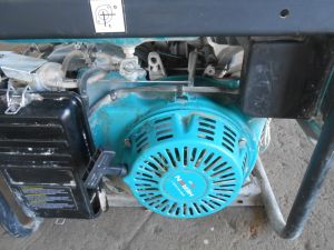 C:\fakepath\DSCN4134