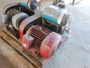 C:\fakepath\DSCN4303