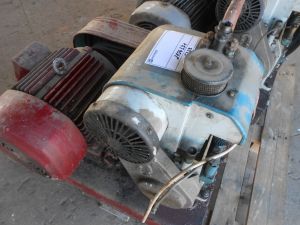 C:\fakepath\DSCN4304