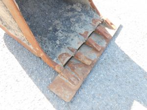 C:\fakepath\DSCN4606