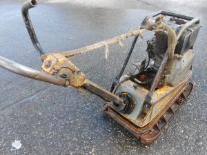 C:\fakepath\DSCN2978