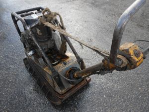 C:\fakepath\DSCN2979