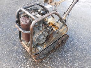 C:\fakepath\DSCN2981