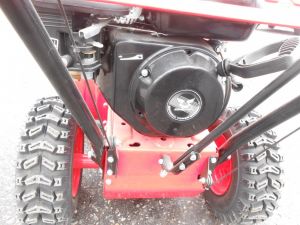 C:\fakepath\DSCN4830